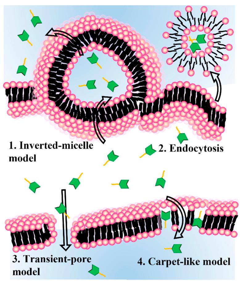 https://cdn.ncbi.nlm.nih.gov/pmc/blobs/bc42/10043881/f9b6437bddd2/d2ra07111h-s2.jpg