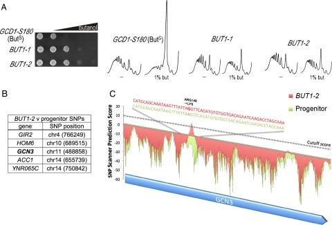 https://cdn.ncbi.nlm.nih.gov/pmc/blobs/bc46/2893985/55c2ea4f8a7c/zmk0131094860003.jpg