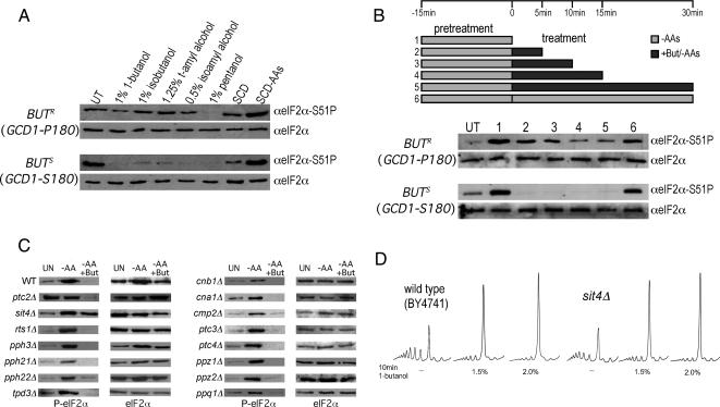 https://cdn.ncbi.nlm.nih.gov/pmc/blobs/bc46/2893985/5a01217a4261/zmk0131094860005.jpg
