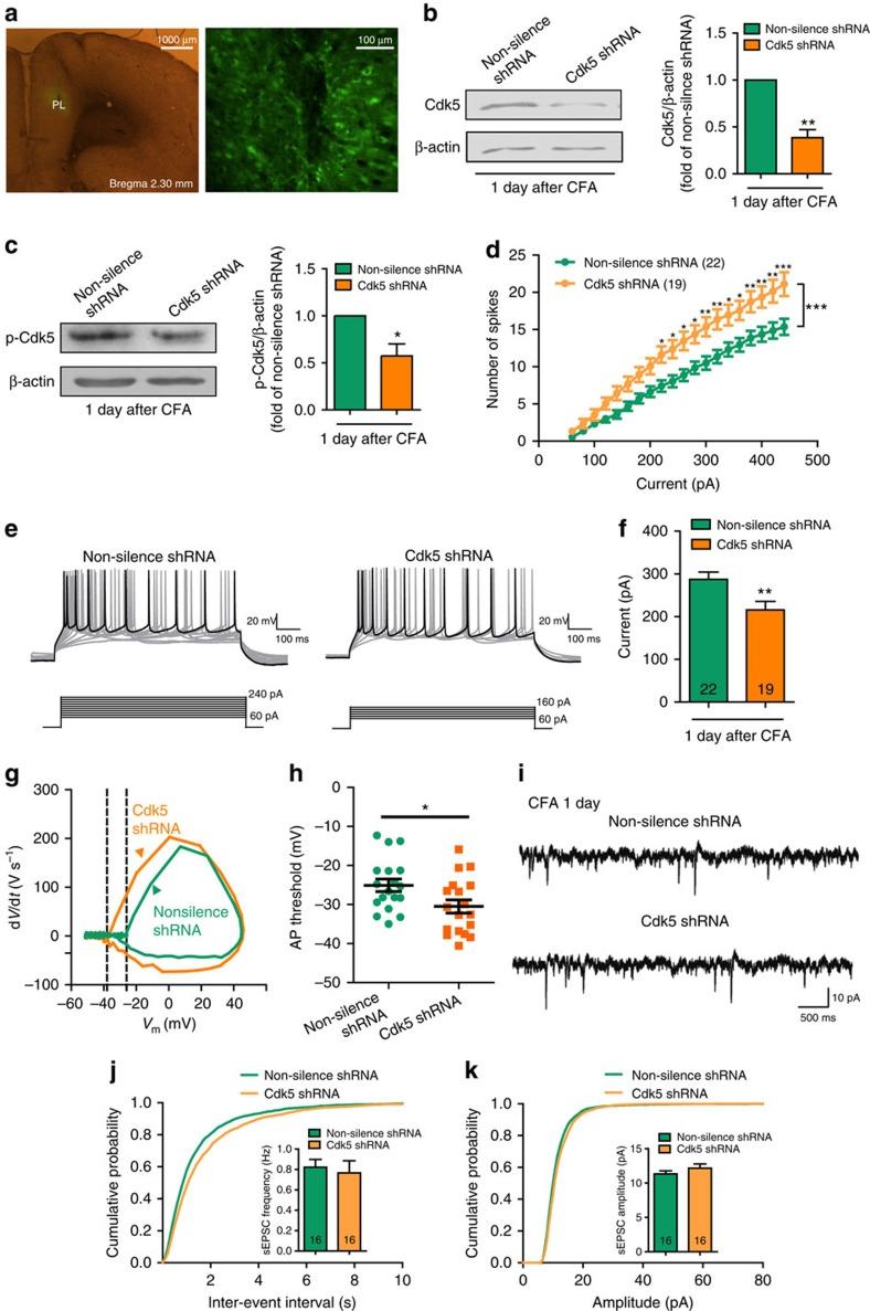 https://cdn.ncbi.nlm.nih.gov/pmc/blobs/bc46/4518290/2076050d16e3/ncomms8660-f7.jpg