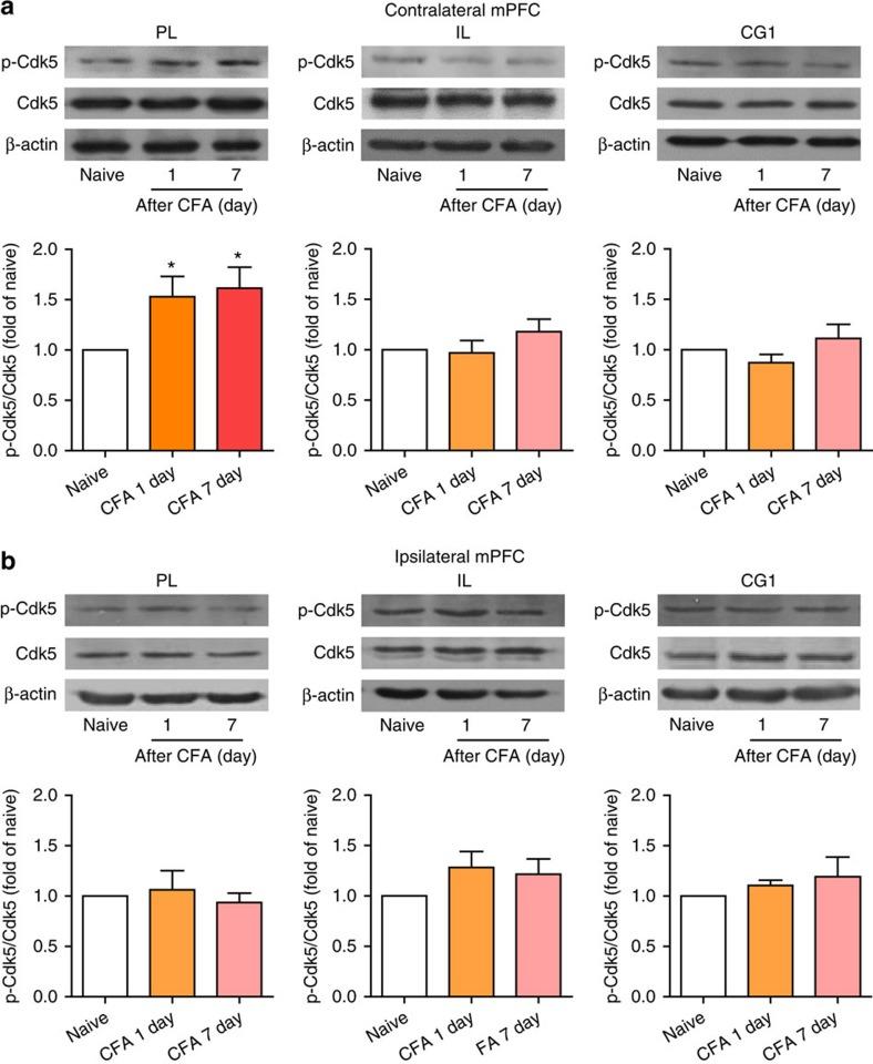 https://cdn.ncbi.nlm.nih.gov/pmc/blobs/bc46/4518290/b35e31489e20/ncomms8660-f6.jpg