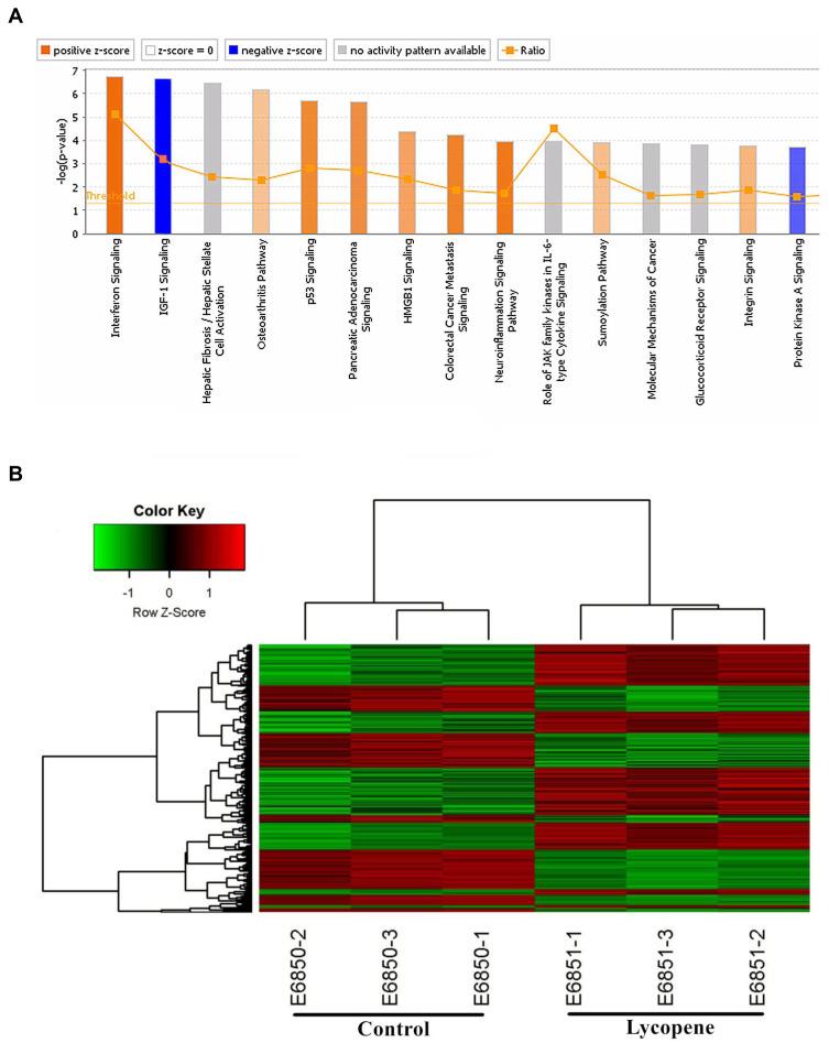 https://cdn.ncbi.nlm.nih.gov/pmc/blobs/bc46/7847369/611579624426/CMAR-13-723-g0005.jpg
