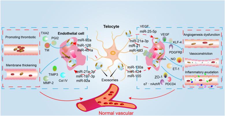 https://cdn.ncbi.nlm.nih.gov/pmc/blobs/bc47/11997980/b5e1fdf3b1a6/fcvm-12-1540051-g002.jpg
