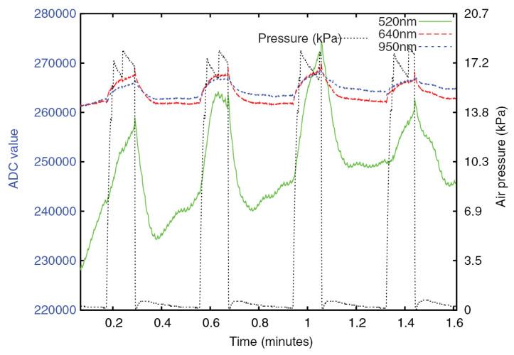 https://cdn.ncbi.nlm.nih.gov/pmc/blobs/bc48/11679391/4a22fb3d3ada/sensors-24-07941-g004.jpg