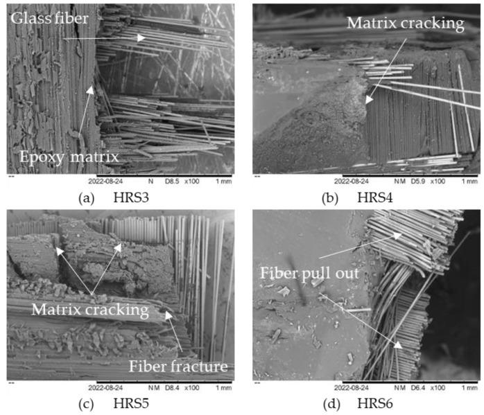 https://cdn.ncbi.nlm.nih.gov/pmc/blobs/bc4a/9786083/d341ee15c35a/polymers-14-05562-g006.jpg