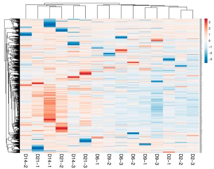 https://cdn.ncbi.nlm.nih.gov/pmc/blobs/bc4b/7832875/161e8c18b9df/ijms-22-00938-g002.jpg