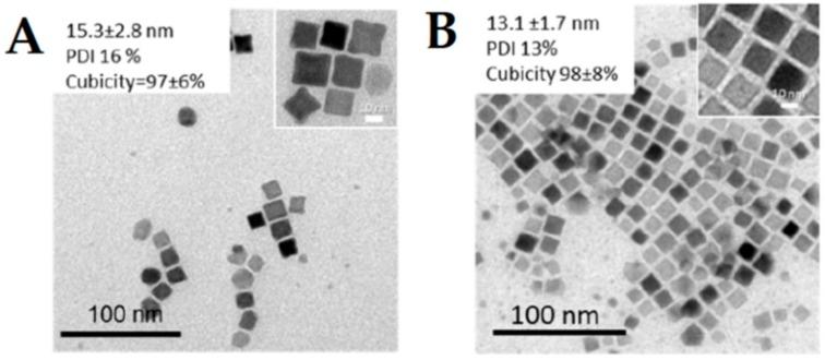 https://cdn.ncbi.nlm.nih.gov/pmc/blobs/bc4c/7178053/2346686ceb18/ijms-21-02455-g005.jpg