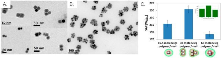 https://cdn.ncbi.nlm.nih.gov/pmc/blobs/bc4c/7178053/9ad4ae30f377/ijms-21-02455-g009.jpg