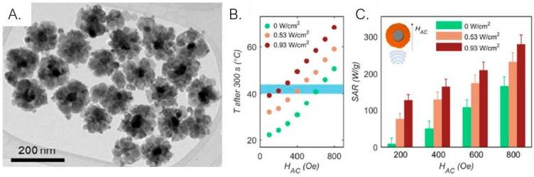 https://cdn.ncbi.nlm.nih.gov/pmc/blobs/bc4c/7178053/f002cf7e87e4/ijms-21-02455-g010.jpg