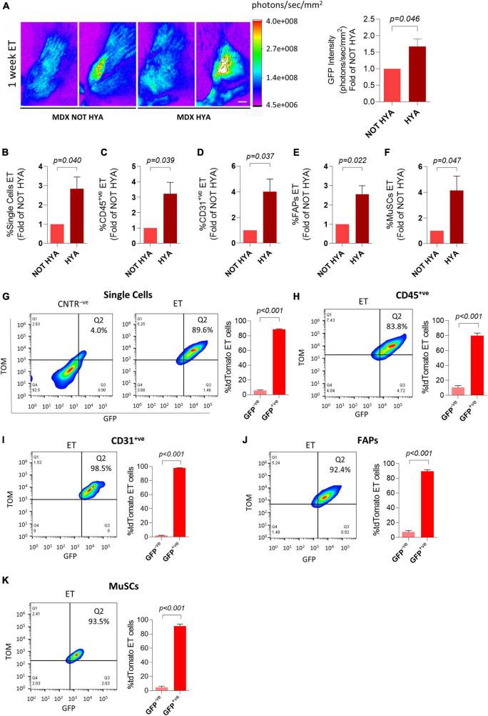 https://cdn.ncbi.nlm.nih.gov/pmc/blobs/bc4c/9010744/239040a7ba5e/fphys-13-834705-g004.jpg