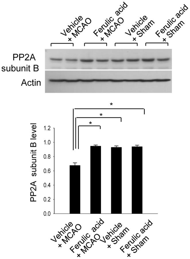 https://cdn.ncbi.nlm.nih.gov/pmc/blobs/bc4d/3547913/8eca4119204b/pone.0054217.g004.jpg