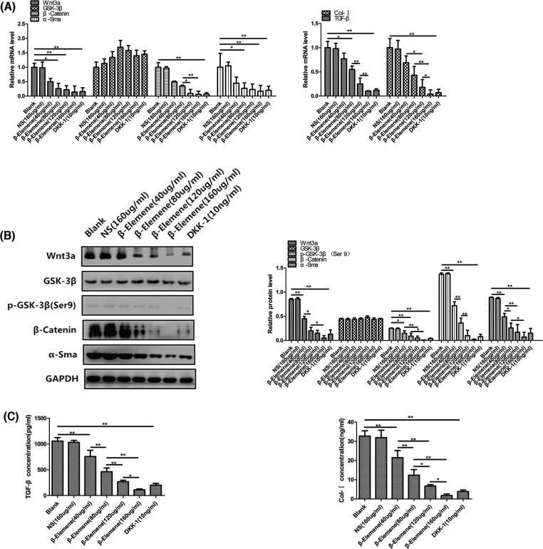 https://cdn.ncbi.nlm.nih.gov/pmc/blobs/bc4d/5835718/2269312d40db/bsr-38-bsr20171386-g5.jpg