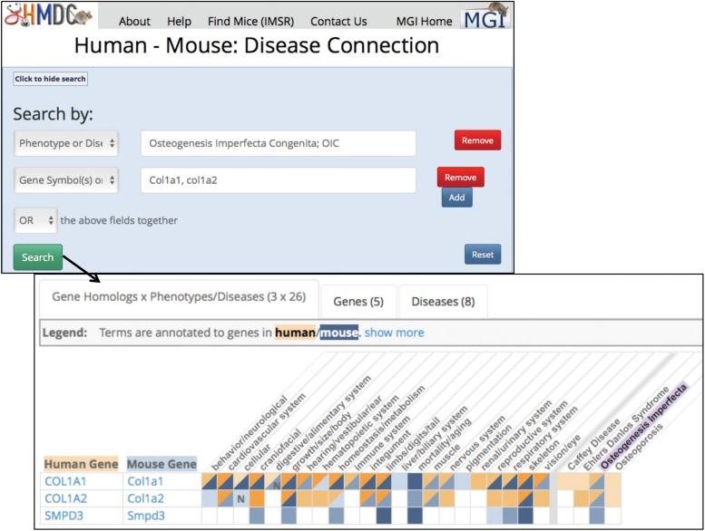 https://cdn.ncbi.nlm.nih.gov/pmc/blobs/bc50/5886341/bb07ba7504c5/ilx013f08.jpg