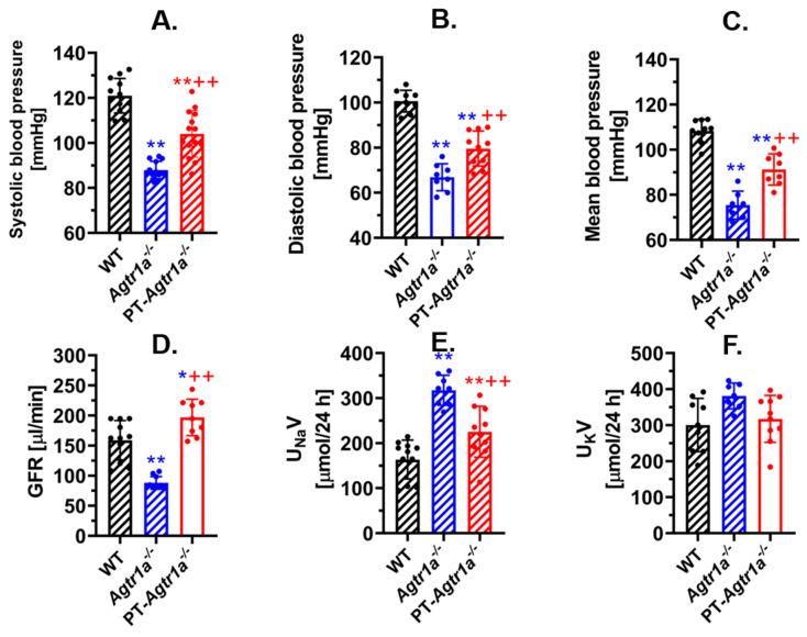 https://cdn.ncbi.nlm.nih.gov/pmc/blobs/bc51/8910592/141621f58698/ijms-23-02402-g002.jpg