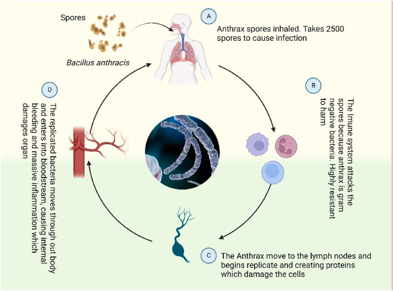 https://cdn.ncbi.nlm.nih.gov/pmc/blobs/bc52/11532300/06bc3cfb0f1d/gr2.jpg