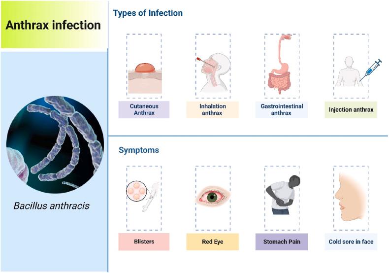 https://cdn.ncbi.nlm.nih.gov/pmc/blobs/bc52/11532300/418ea80738ed/gr3.jpg