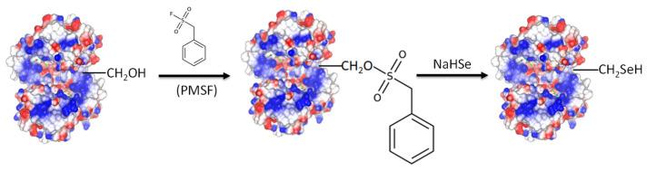 https://cdn.ncbi.nlm.nih.gov/pmc/blobs/bc53/10812501/06c385a5679a/antioxidants-13-00041-g006.jpg