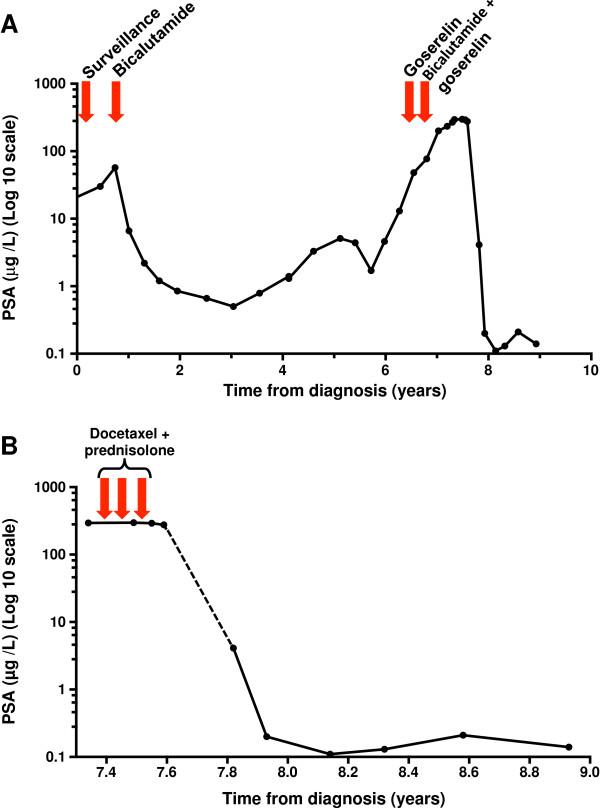 https://cdn.ncbi.nlm.nih.gov/pmc/blobs/bc53/4000147/ebadf6bce89b/1752-1947-8-122-3.jpg