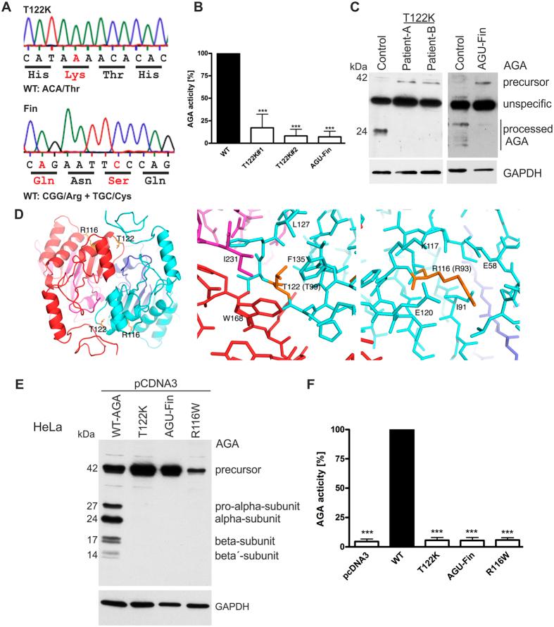 https://cdn.ncbi.nlm.nih.gov/pmc/blobs/bc57/5120323/8aad0f6b3f1c/srep37583-f1.jpg