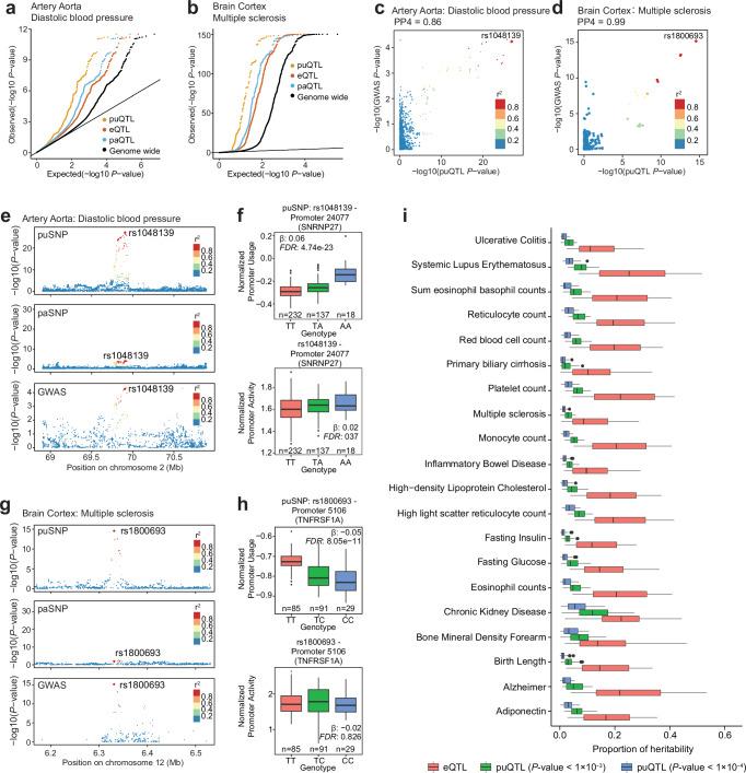 https://cdn.ncbi.nlm.nih.gov/pmc/blobs/bc58/11464533/56371f22f5c2/41467_2024_53131_Fig6_HTML.jpg