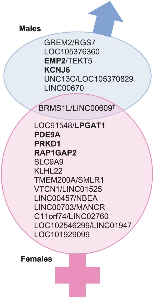 https://cdn.ncbi.nlm.nih.gov/pmc/blobs/bc5c/10978372/e5053407677c/gr3.jpg