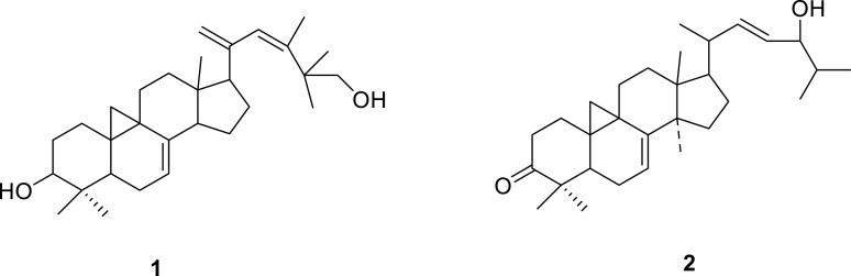 https://cdn.ncbi.nlm.nih.gov/pmc/blobs/bc63/11144408/f507a8336d81/DDDT-18-1917-g0008.jpg