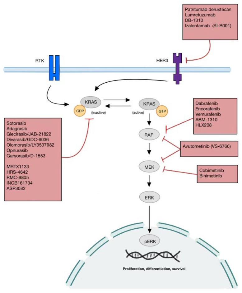 https://cdn.ncbi.nlm.nih.gov/pmc/blobs/bc65/11432526/a3355f36a290/ijms-25-10046-g001.jpg