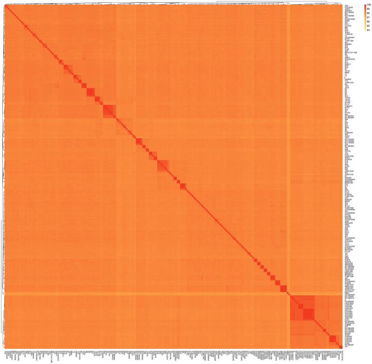 https://cdn.ncbi.nlm.nih.gov/pmc/blobs/bc67/11480045/18b7fdee13d5/fmicb-15-1474871-g002.jpg