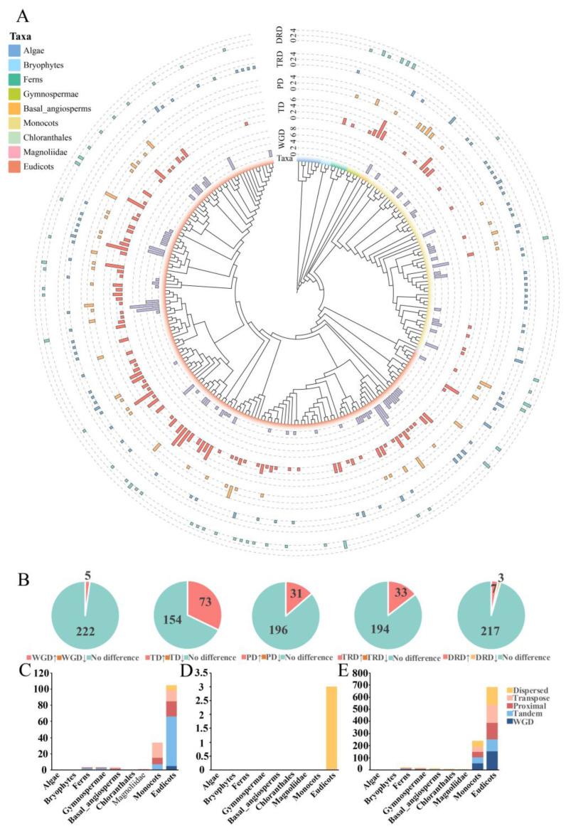 https://cdn.ncbi.nlm.nih.gov/pmc/blobs/bc6a/12027299/1760f5635432/genes-16-00396-g006.jpg