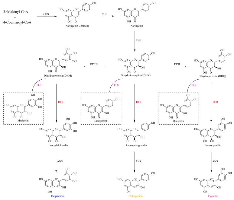 https://cdn.ncbi.nlm.nih.gov/pmc/blobs/bc6a/12027299/1df3442e7c57/genes-16-00396-g001.jpg