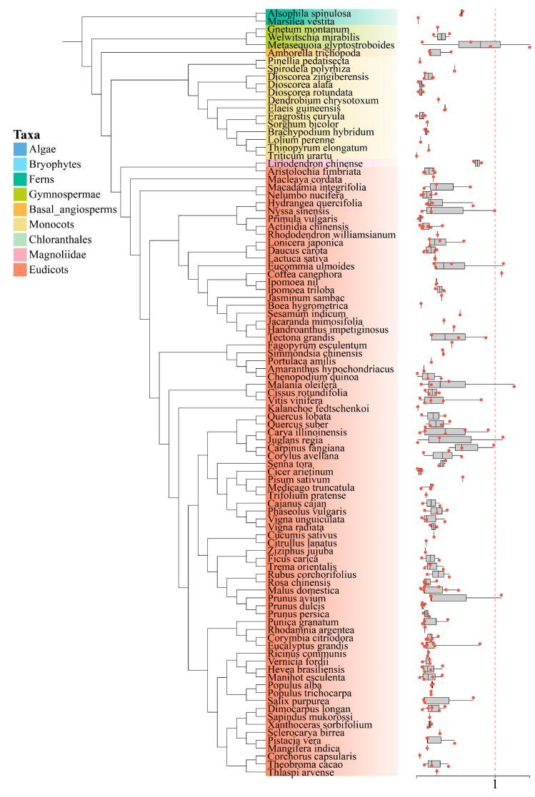 https://cdn.ncbi.nlm.nih.gov/pmc/blobs/bc6a/12027299/dc5be7962330/genes-16-00396-g007.jpg