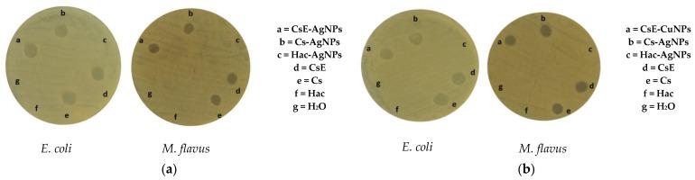 https://cdn.ncbi.nlm.nih.gov/pmc/blobs/bc6b/12388724/66f3498132c3/molecules-30-03368-g005.jpg