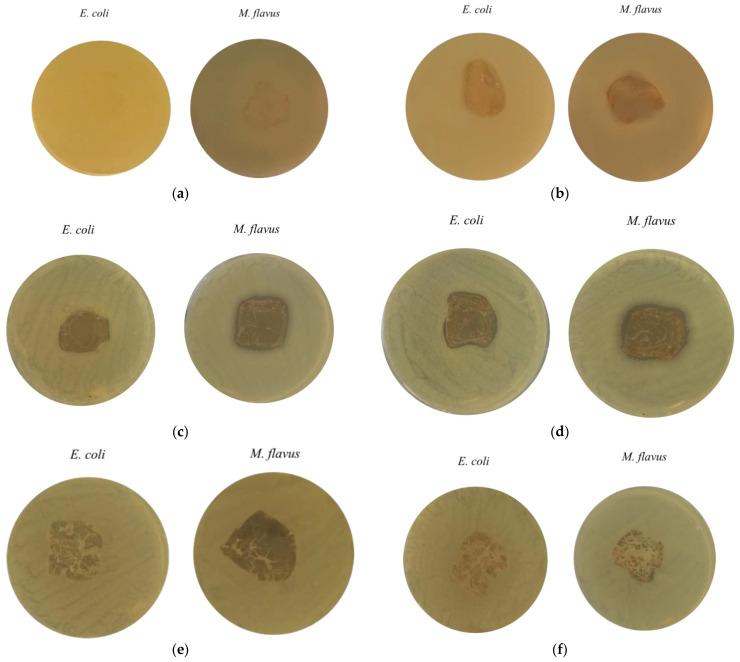 https://cdn.ncbi.nlm.nih.gov/pmc/blobs/bc6b/12388724/c61edbbf50c1/molecules-30-03368-g009.jpg