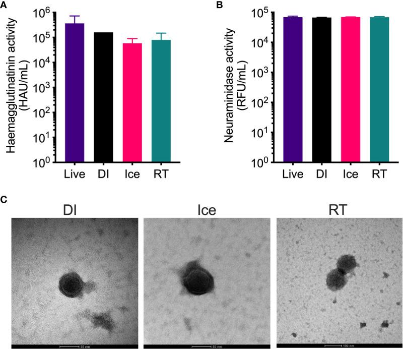 https://cdn.ncbi.nlm.nih.gov/pmc/blobs/bc6c/8652198/9c412161a9f3/fimmu-12-761632-g002.jpg