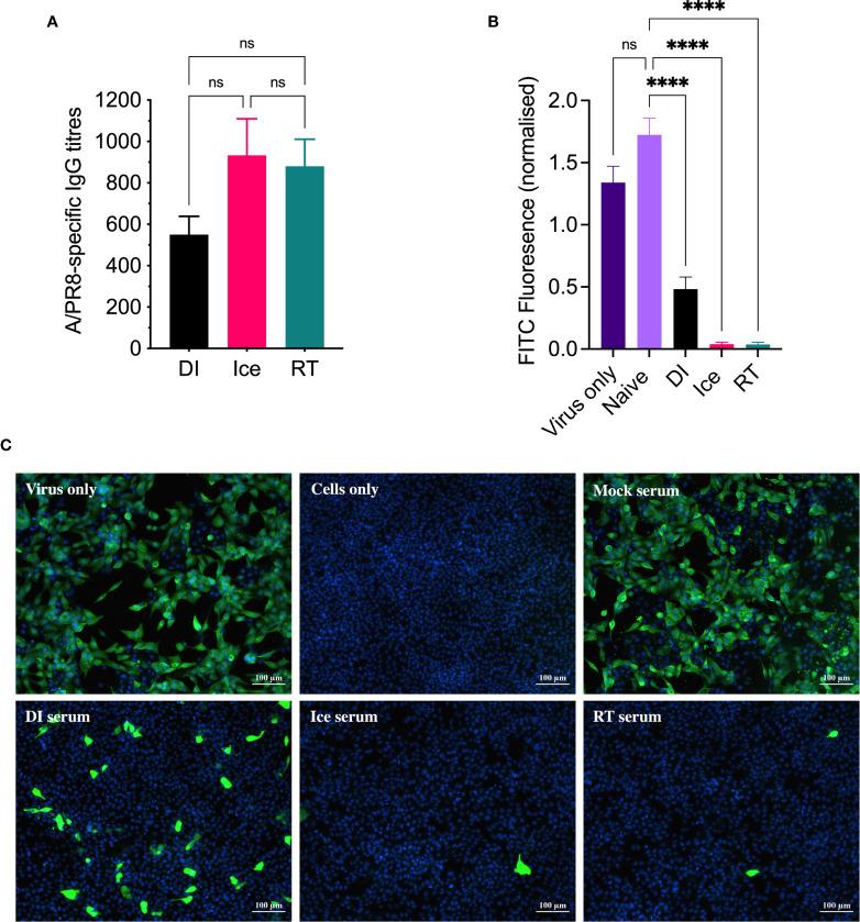 https://cdn.ncbi.nlm.nih.gov/pmc/blobs/bc6c/8652198/b3be75c2a697/fimmu-12-761632-g003.jpg