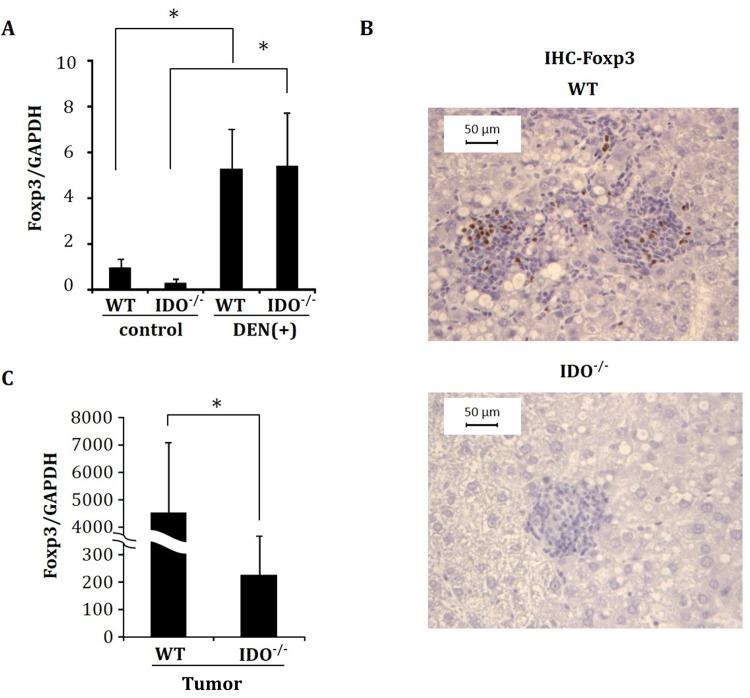 https://cdn.ncbi.nlm.nih.gov/pmc/blobs/bc6f/4699706/b1103e273309/pone.0146279.g004.jpg