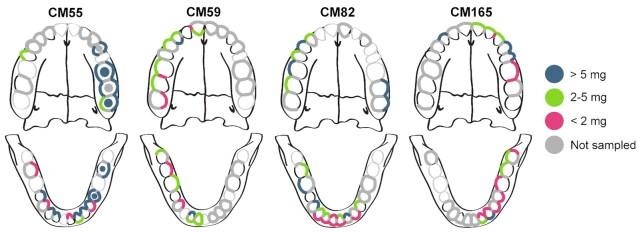 https://cdn.ncbi.nlm.nih.gov/pmc/blobs/bc70/10117714/aa2e59fb2885/xtac006fig1.jpg
