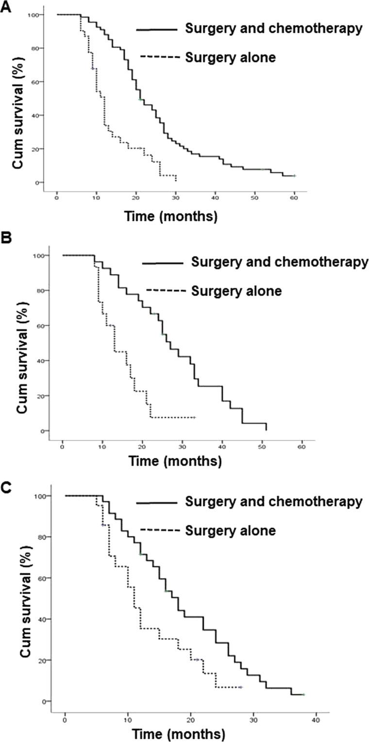 https://cdn.ncbi.nlm.nih.gov/pmc/blobs/bc70/7848360/20fa6c45fae4/OR-27-203-g003.jpg