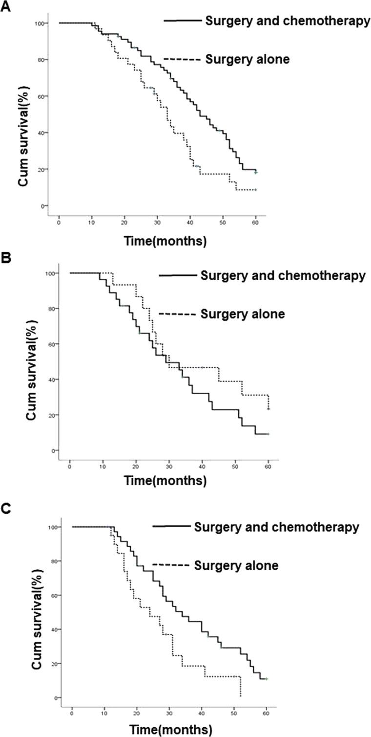 https://cdn.ncbi.nlm.nih.gov/pmc/blobs/bc70/7848360/be7bf061e050/OR-27-203-g002.jpg