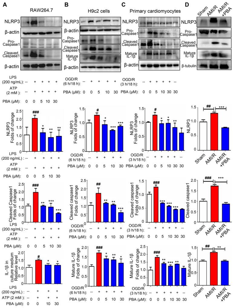 https://cdn.ncbi.nlm.nih.gov/pmc/blobs/bc71/7738871/3a1a2ecae171/thnov11p0861g002.jpg