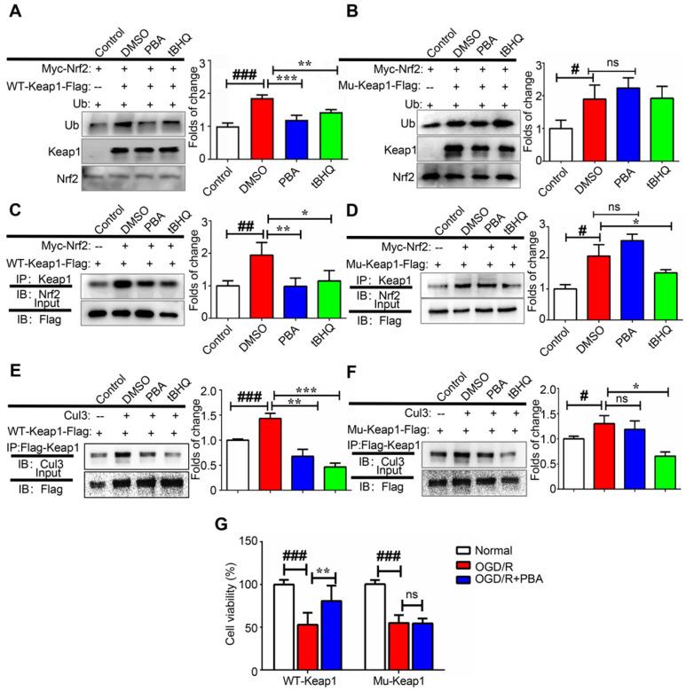 https://cdn.ncbi.nlm.nih.gov/pmc/blobs/bc71/7738871/93df5953bd61/thnov11p0861g006.jpg