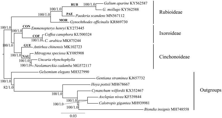 https://cdn.ncbi.nlm.nih.gov/pmc/blobs/bc71/7748432/02992f9d0077/TMDN_A_1703597_F0001_B.jpg