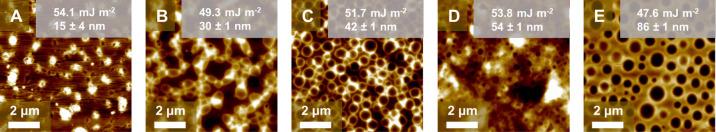 https://cdn.ncbi.nlm.nih.gov/pmc/blobs/bc72/8280740/6928858be79b/la0c03431_0003.jpg
