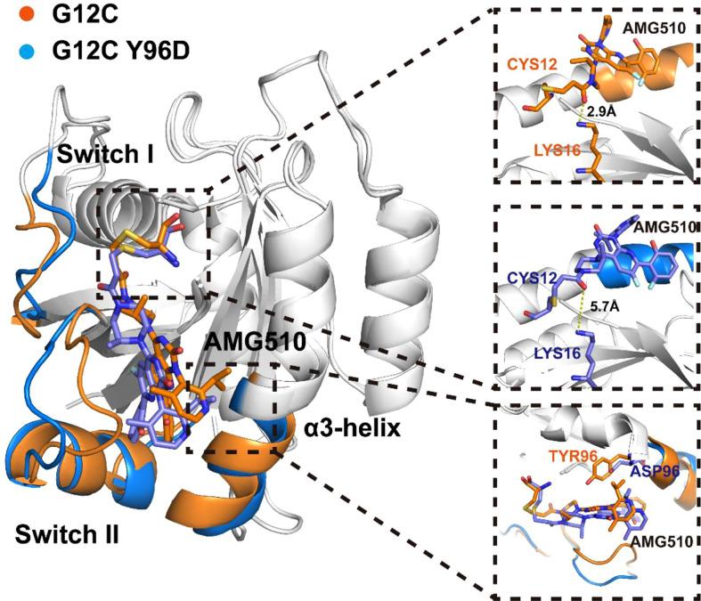 https://cdn.ncbi.nlm.nih.gov/pmc/blobs/bc72/9399772/720062410277/fonc-12-915512-g003.jpg