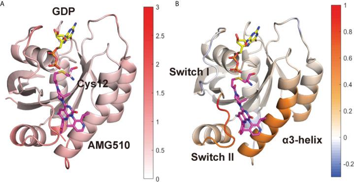 https://cdn.ncbi.nlm.nih.gov/pmc/blobs/bc72/9399772/bf64c8061d83/fonc-12-915512-g001.jpg