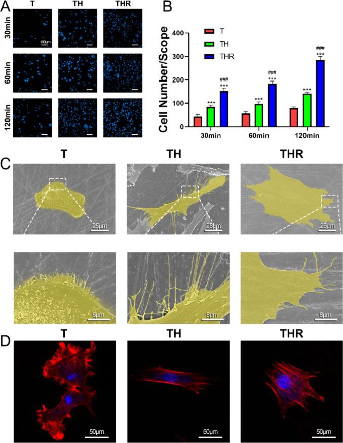 https://cdn.ncbi.nlm.nih.gov/pmc/blobs/bc74/11558559/aece596b1b1c/ab4c00133_0002.jpg