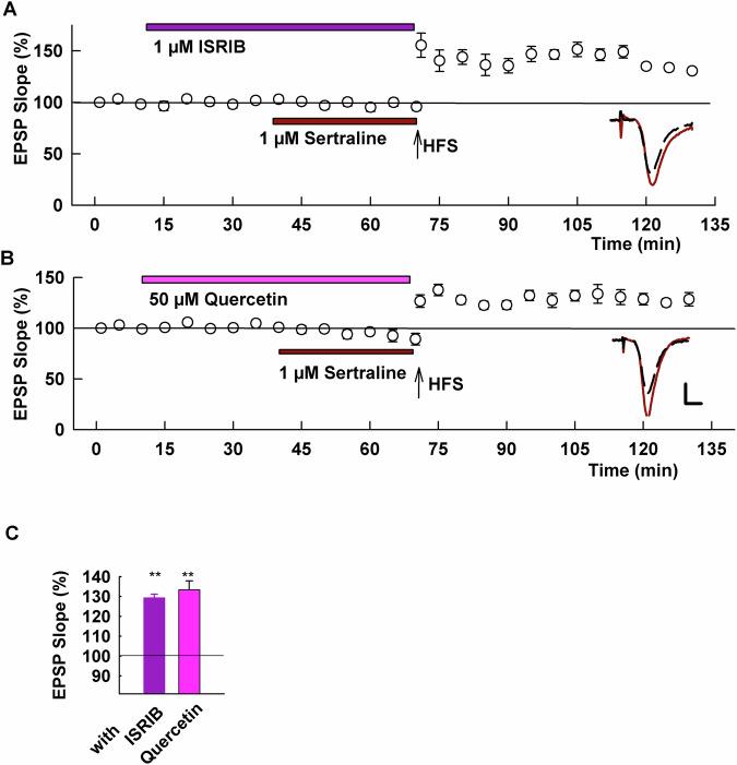 https://cdn.ncbi.nlm.nih.gov/pmc/blobs/bc74/11582653/40efe14674f7/41398_2024_3185_Fig4_HTML.jpg