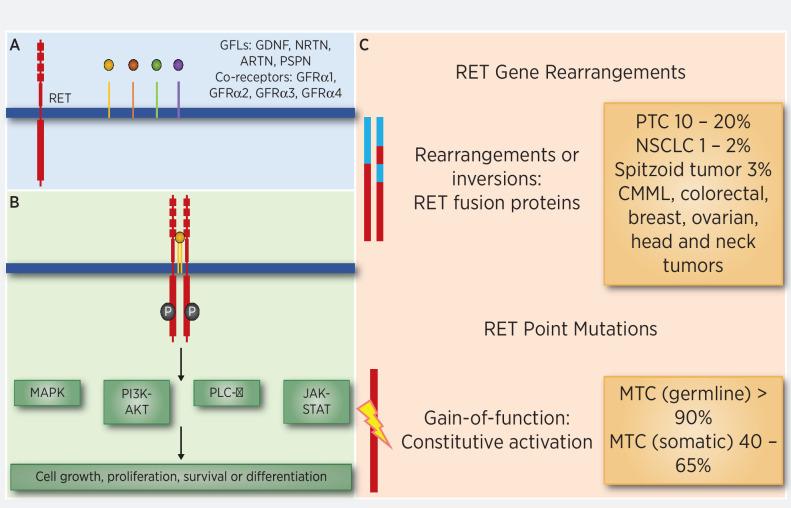 https://cdn.ncbi.nlm.nih.gov/pmc/blobs/bc74/9398143/9bb2ea9be964/1769fig1.jpg