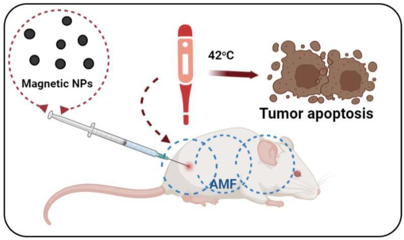 https://cdn.ncbi.nlm.nih.gov/pmc/blobs/bc76/10004758/3e858c9af741/nanomaterials-13-00876-g002.jpg