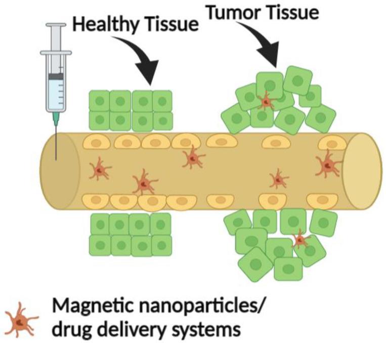 https://cdn.ncbi.nlm.nih.gov/pmc/blobs/bc76/10004758/76dcf09f9c6a/nanomaterials-13-00876-g003.jpg